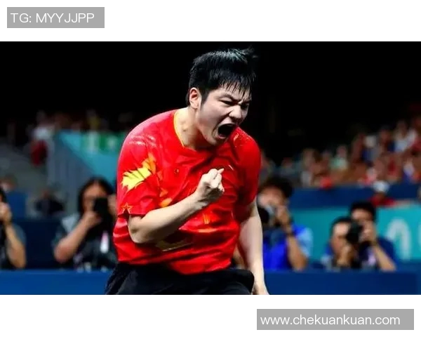 樊振东与马龙2017年巅峰对决回顾乒乓球历史上的经典时刻